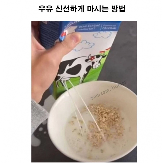 Screenshot_20230429_103539_Instagram.jpg