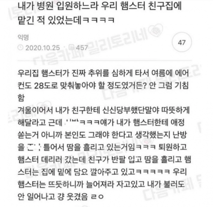 Screenshot_20230529_001601_Instagram.jpg