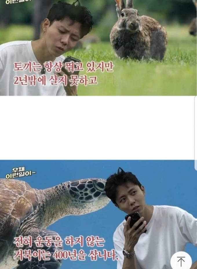 Screenshot_20230518_225952_NAVER.jpg