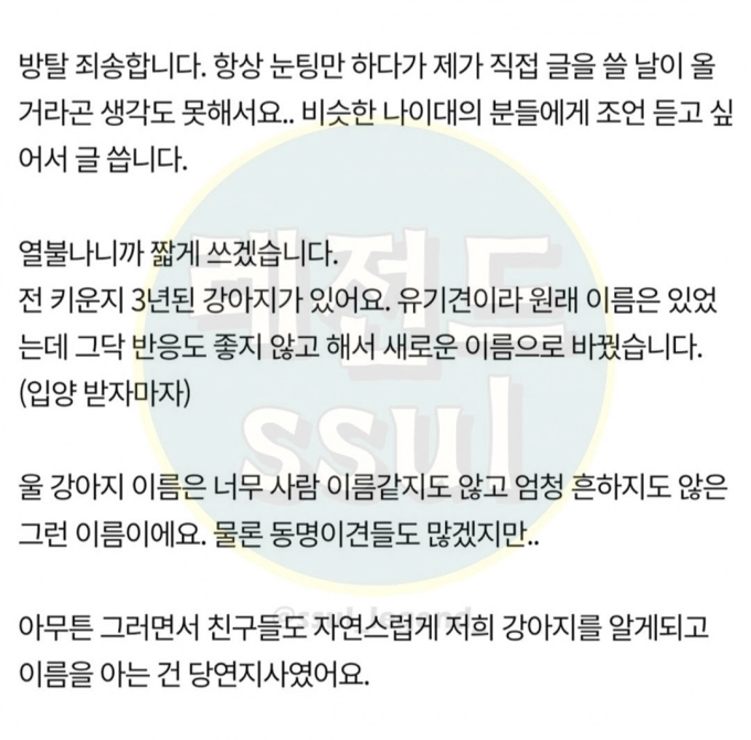 Screenshot_20230730_103644_Instagram.jpg