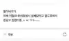 웃긴 짤