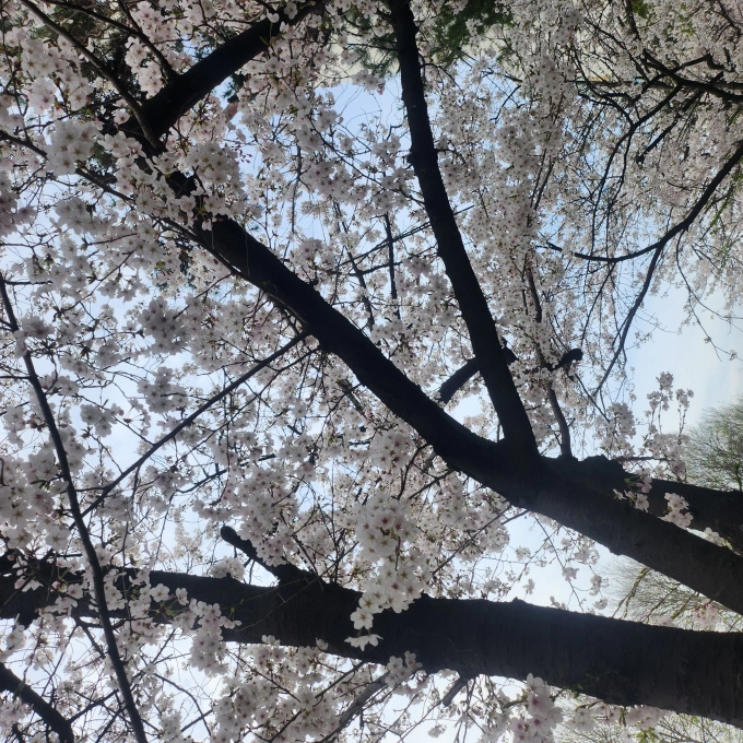 20240402_170530.jpg