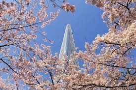69229616-F2DC-4DDA-BDF3-8F44405C3F3C.jpeg
