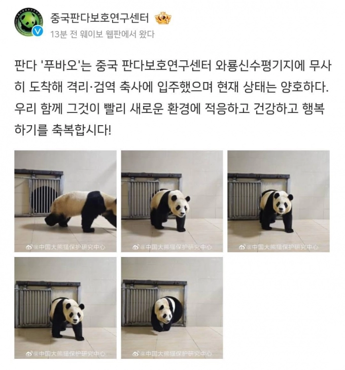 IMG_1686.jpeg