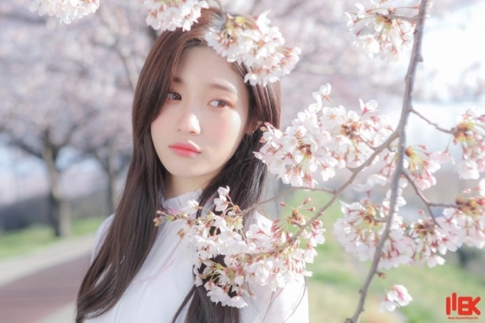 다운로드파일.jpg