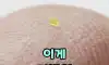 이게 가방임