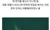 범고래의 유행