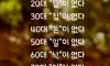 일명 없다시리즈