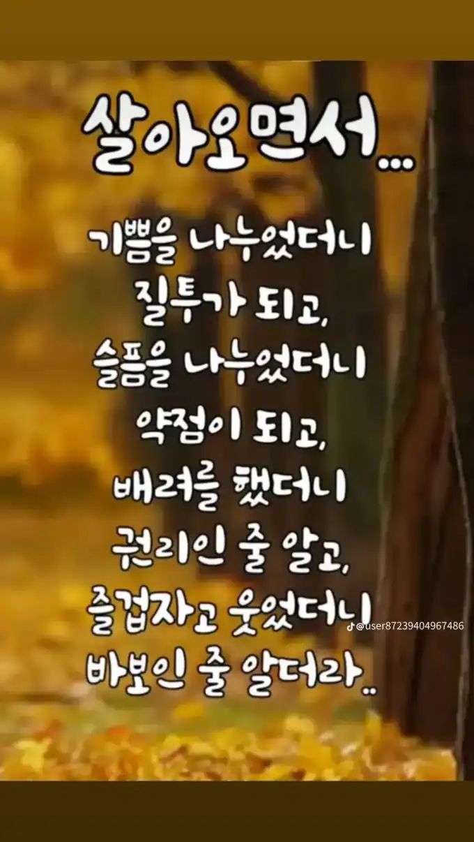 2e947909b43c67124866cedf75828b0d.png