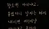 웃짤