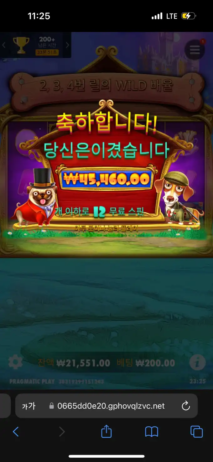 20250326000542IMG_6428.png