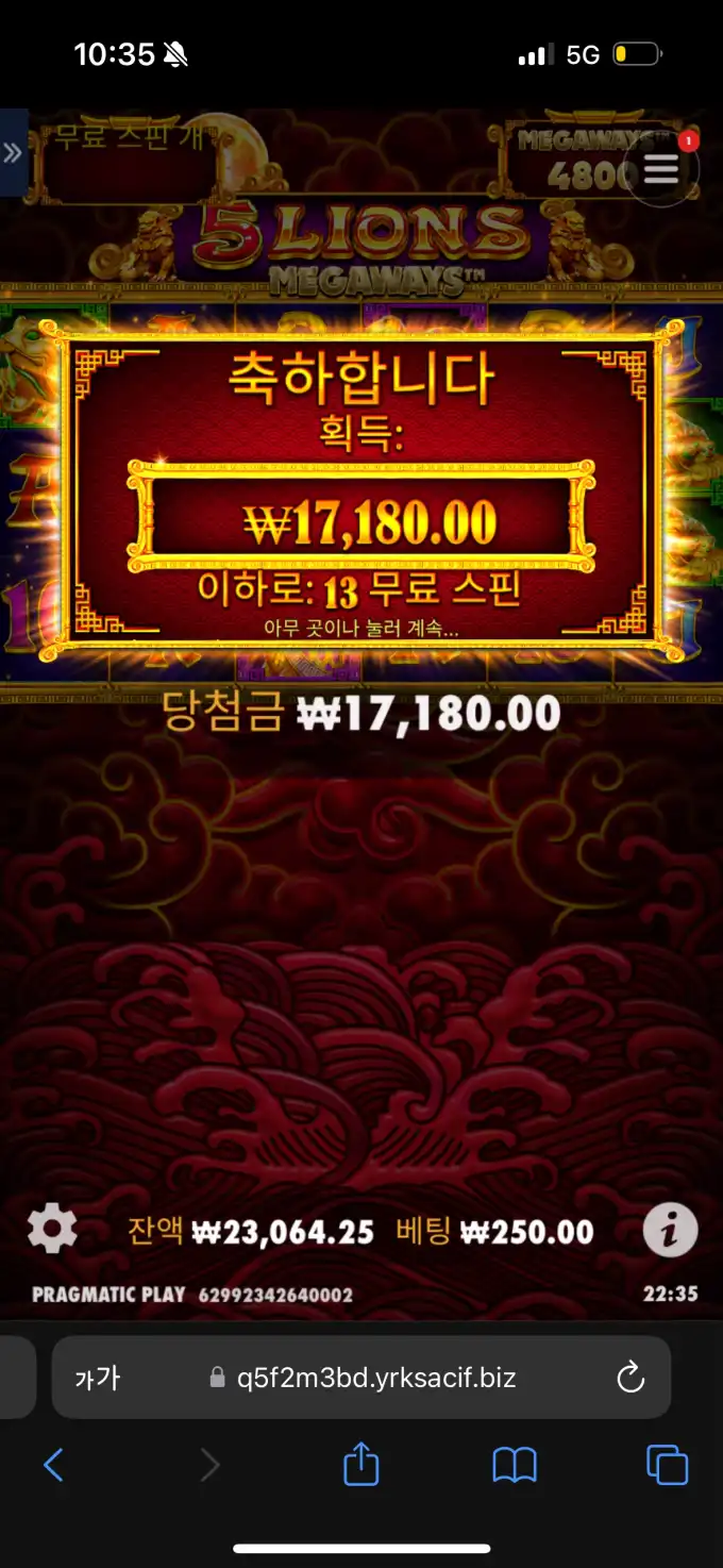 20250429224036IMG_7133.png
