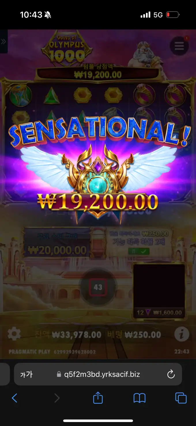 20250429231023IMG_7135.png