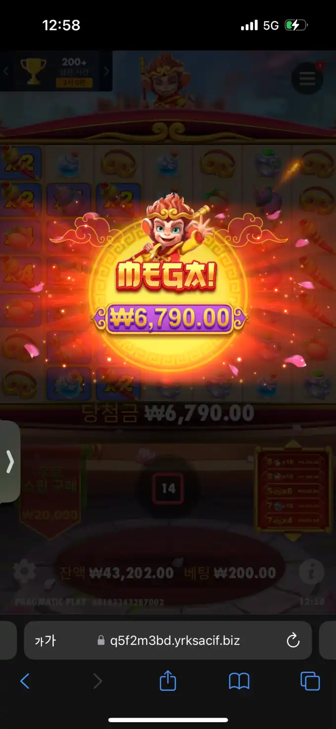 20250502130042IMG_7219.png