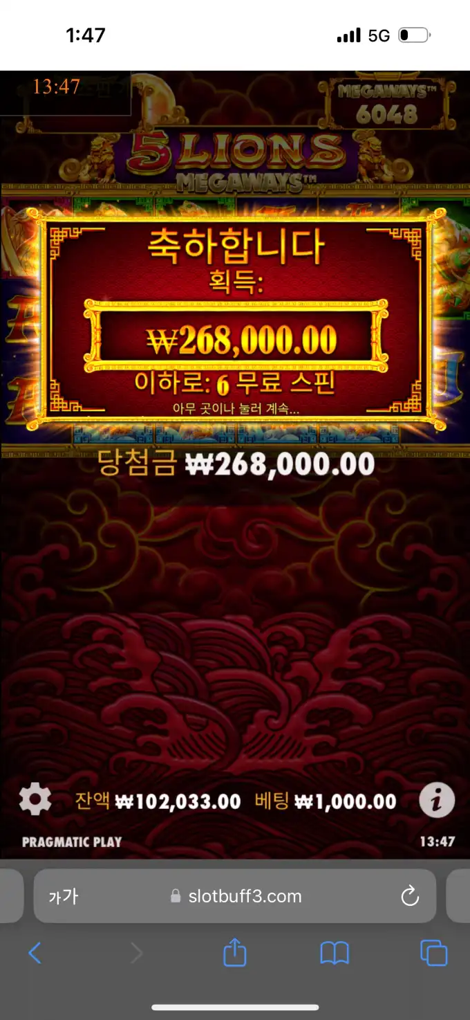 20250523134940IMG_7714.png