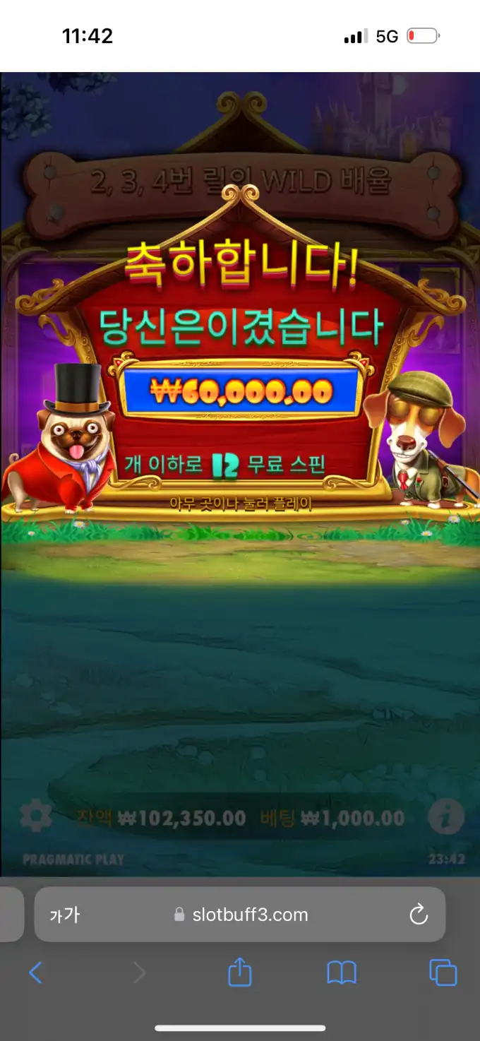 20250504234507IMG_7288.png