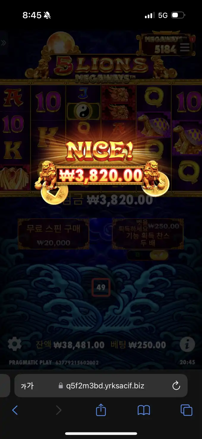 20250510210253IMG_7447.png