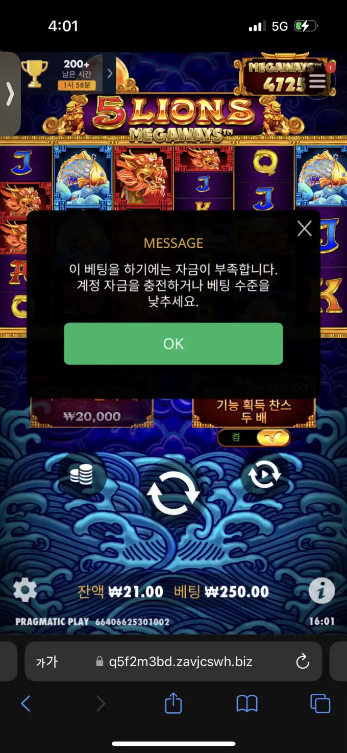 20250613160123IMG_8052.png