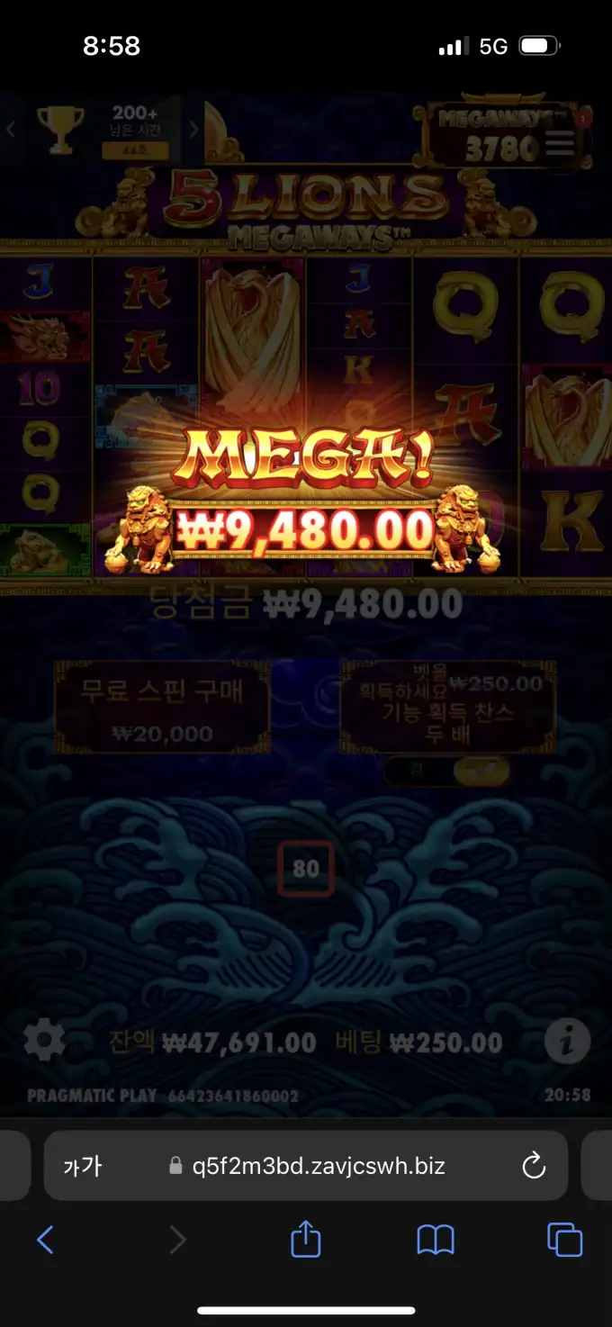 20250613205851IMG_8059.png