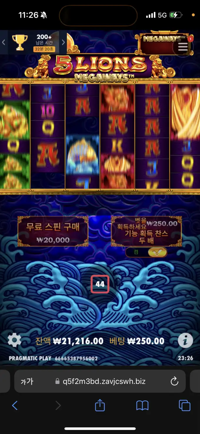 20250616235236IMG_8126.png