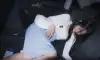 취객