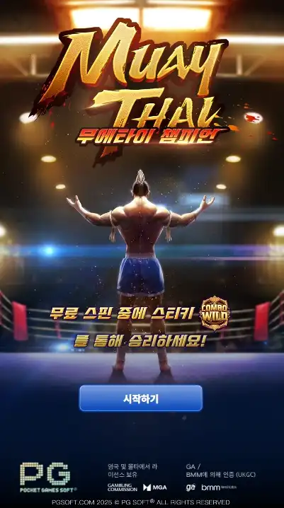 202506130058488MuayThaiChampion.png