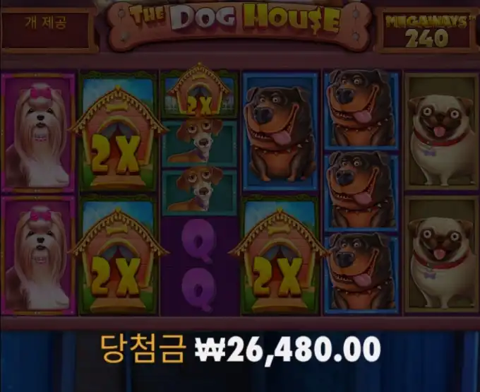 202507061701071747662047822.jpg