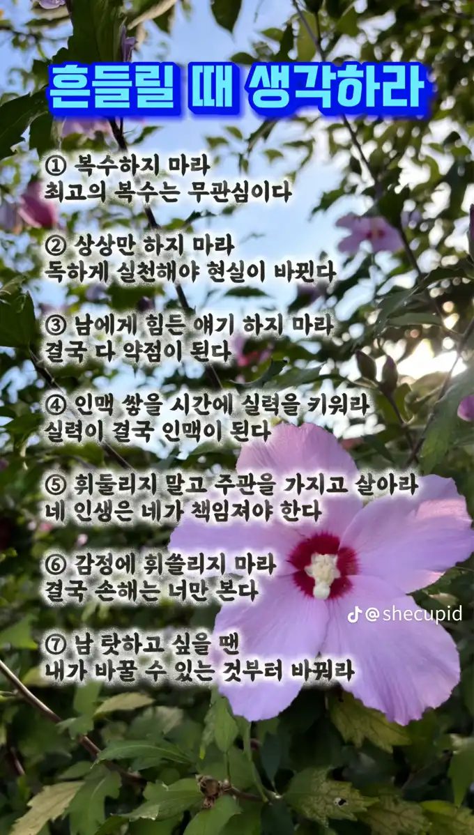 202509230753364edaf91d525e9abcee3452e5a1649551.png