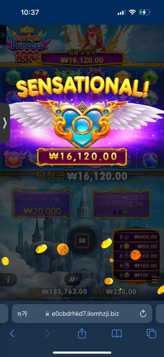 20250912224102IMG_9208.png