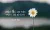 인생 글귀7