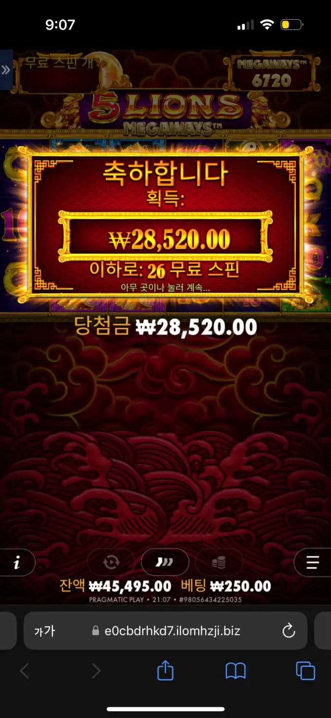 20250915214929IMG_9228.png