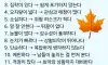 단점 알고보니 장점