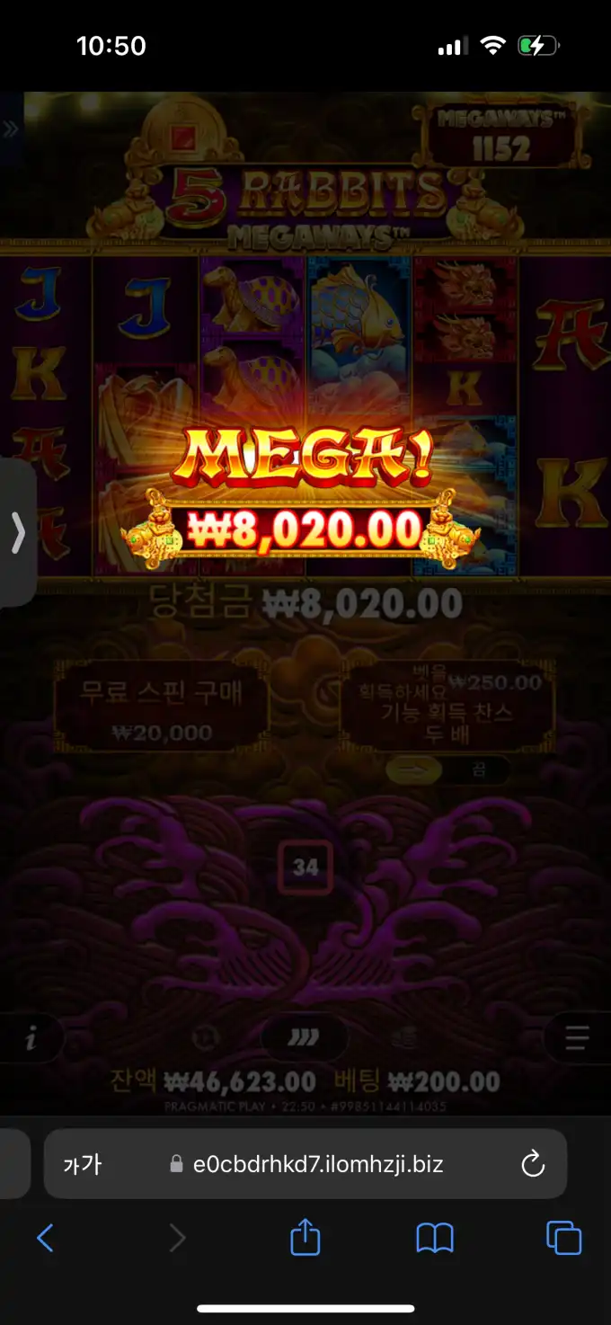 20251004225131IMG_9476.png