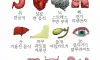 몸이 무서워하는것