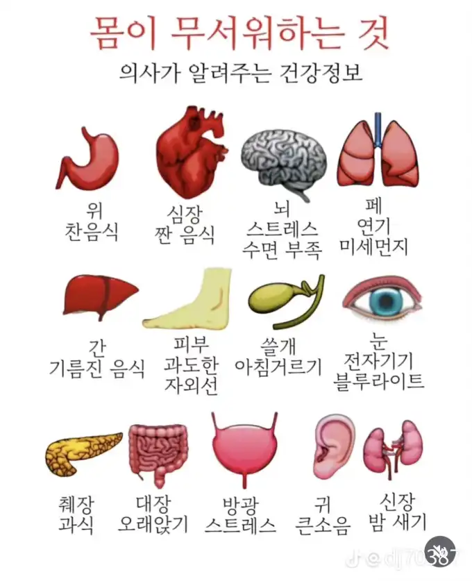 20251029152217b125810fa75a4e484d9ba77f98f6a8d6.png
