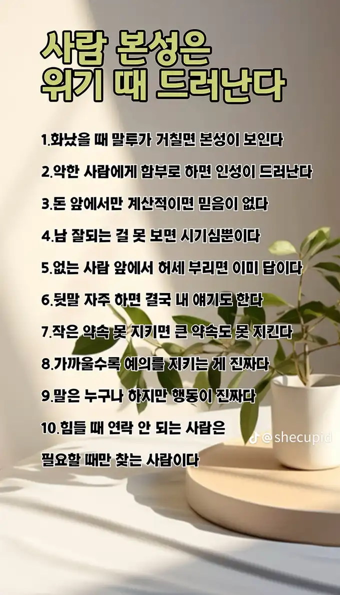 2025101000150190904ee7b8c55b01ee56abc1c8d32572.png