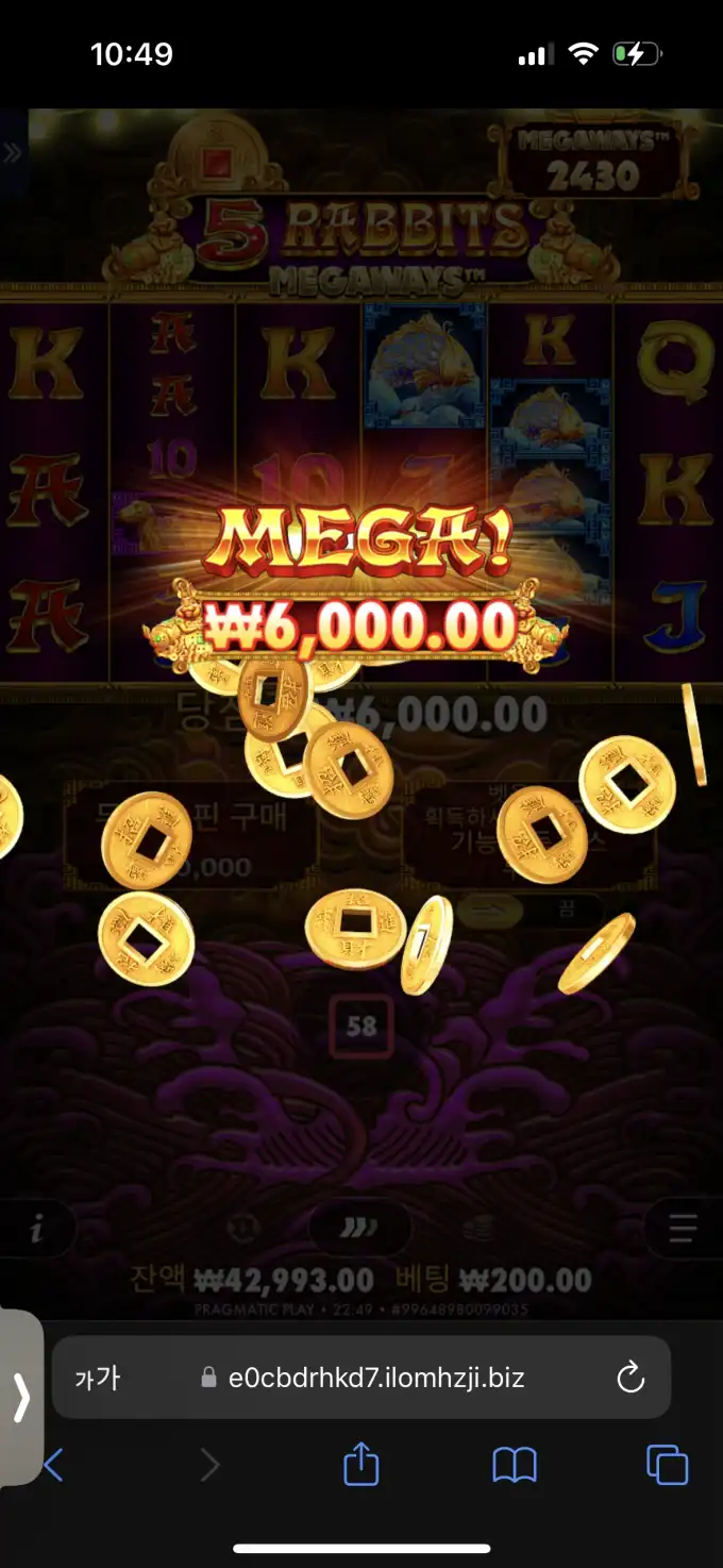 20251002225001IMG_9452.png