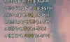 팩폭조언