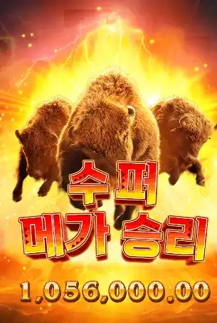 202512111918042버팔로승리.png