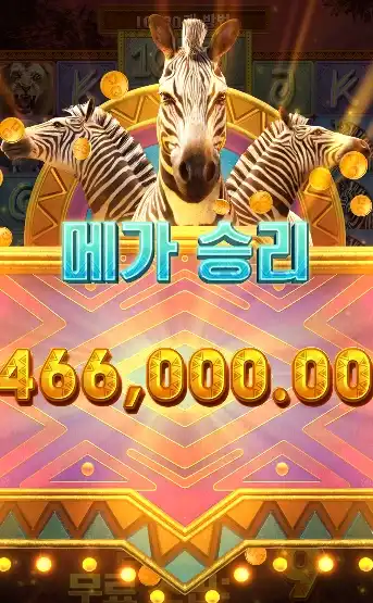 202602092038044파리와일드.png