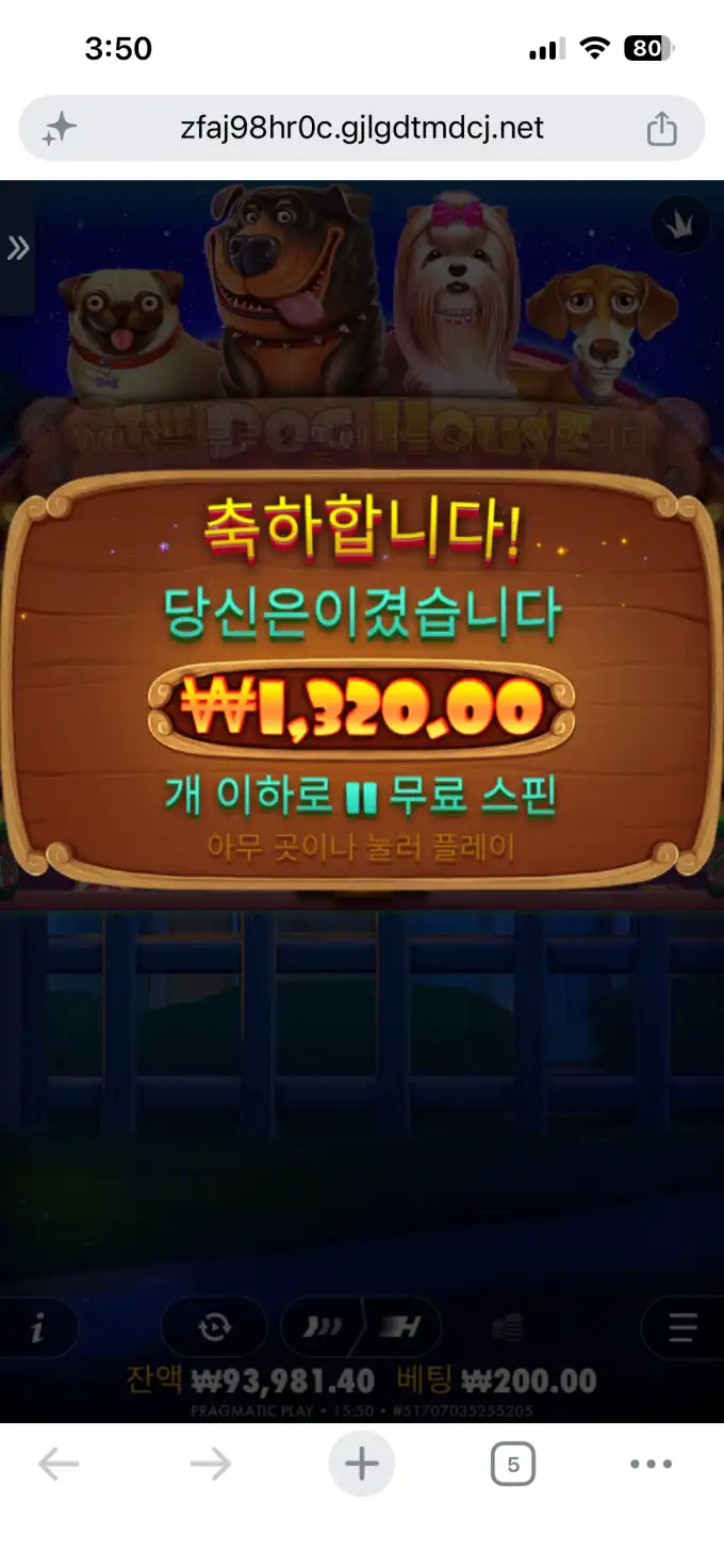20260608161333IMG_6772.png