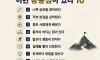 성공한 사람들의 공통점