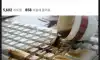 유머8