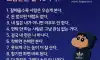 맞는말들