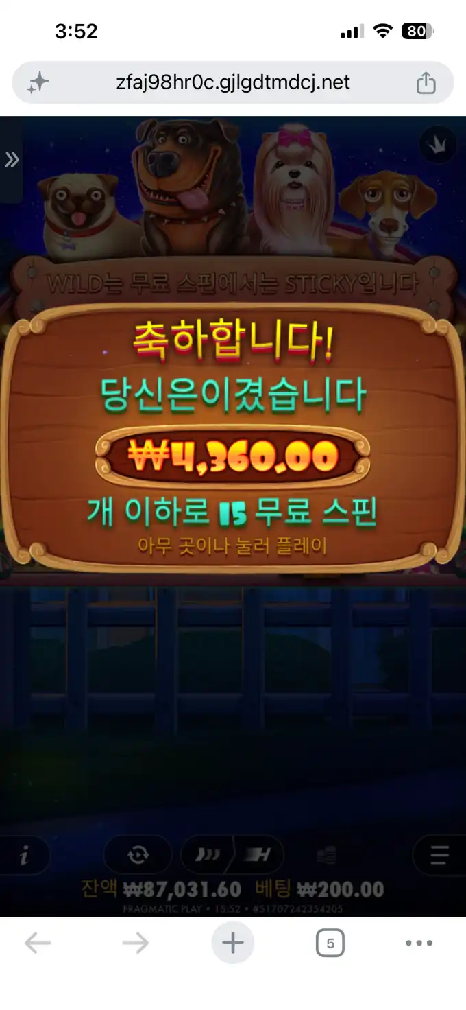 20260608161334IMG_6773.png
