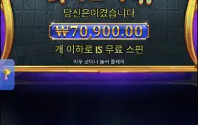올푸구매