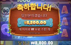 더도그메가웨이1000