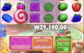 스위트보난자1000