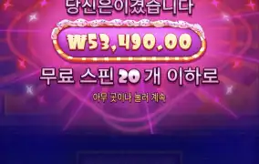 슈가1000