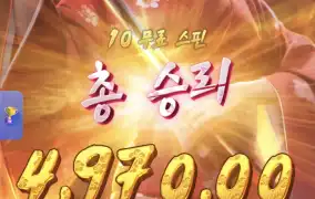 피지게이샤